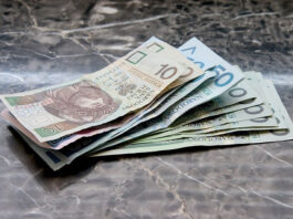 Na czym można zarobić w Polsce na czym można zarobić w polsce