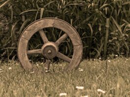 Najważniejsze odkrycia i wynalazki w historii ludzkości Wynalezienie koła