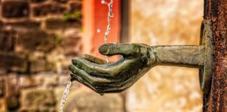 Na czym polega funkcja poznawcza dydaktyki? Na czym polega funkcja poznawcza dydaktyki?