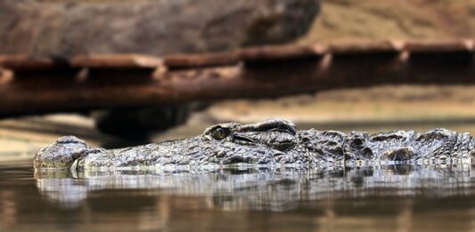 Jakie są zasady inwestowania? Jakie są zasady inwestowania?