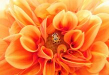 Co to jest efektywne zarządzanie czasem?