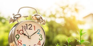 Kim można być po zarządzaniu? Kim można być po zarządzaniu?