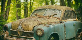 Co pić na pamięć? Co pić na pamięć?