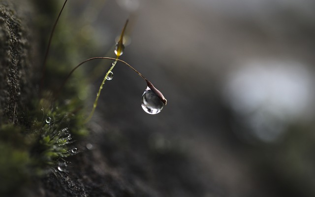 Jak ćwiczyć skupienie uwagi u dziecka? Jak ćwiczyć skupienie uwagi u dziecka?