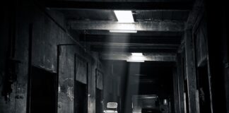 Co to jest rozkład materiału?