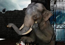 Jak skupić się w hałasie? Jak skupić się w hałasie?