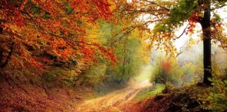 Kiedy kończy się rok podatkowy? Kiedy kończy się rok podatkowy?