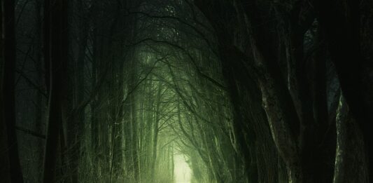 Z czym wiązało się przejście człowieka na osiadły tryb życia?