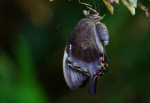 Czy od siedzenia rośnie pupa? Czy od siedzenia rośnie pupa?