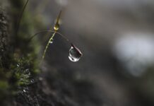 Jak utrzymać skupienie? Jak utrzymać skupienie?