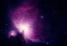 Ile trwa nauka na doradcę podatkowego? Ile trwa nauka na doradcę podatkowego?