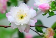 Ile wyróżniamy rodzajów produkcji? Ile wyróżniamy rodzajów produkcji?