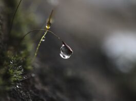 Jak pomóc dziecku w skupieniu się? Jak pomóc dziecku w skupieniu się?