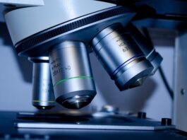 Czy studia podyplomowe dają uprawnienia do nauczania? Czy studia podyplomowe dają uprawnienia do nauczania?