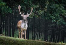 Jakie gatunki mają funkcje dydaktyczną? Jakie gatunki mają funkcje dydaktyczną?