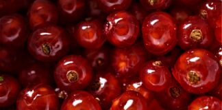 Jakie zawody są dobrze płatne w Niemczech? Jakie zawody są dobrze płatne w Niemczech?