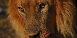 Od czego zależy dobór środków dydaktycznych? Od czego zależy dobór środków dydaktycznych?