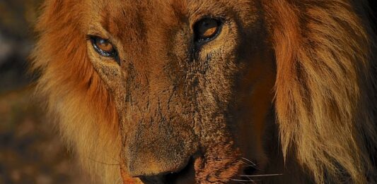 Od czego zależy dobór środków dydaktycznych?