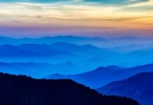 Czy doradca podatkowy może pracować zdalnie? Czy doradca podatkowy może pracować zdalnie?