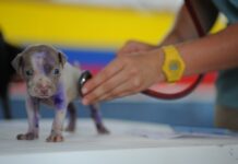 Co warunkuje proces kształcenia? Co warunkuje proces kształcenia?