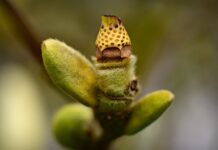 Co utrudnia rozwijanie kompetencji kluczowych?