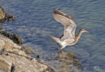 Kto rozlicza się z pitu? Kto rozlicza się z pitu?