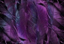 Co to jest formularz sed F001? Co to jest formularz sed F001?