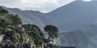 Ile kosztuje godzina pracy doradcy podatkowego? Ile kosztuje godzina pracy doradcy podatkowego?