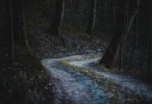 Co jest cechą kluczowych kompetencji?