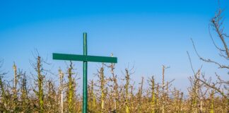 Czy sklep internetowy musi mieć regulamin?