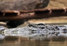 Ile jest zasad racjonalnej organizacji?