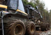 Co jest lepsze spedytor czy logistyk? Co jest lepsze spedytor czy logistyk?