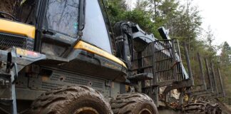 Co jest lepsze spedytor czy logistyk?