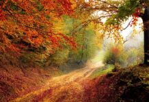 W którym roku było przejście człowieka do osiadłego trybu życia?