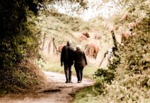 Ile trzeba mieć lat pracy do emerytury? Ile trzeba mieć lat pracy do emerytury?