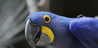 Jaka jest największa firma kurierską w Polsce? Jaka jest największa firma kurierską w Polsce?