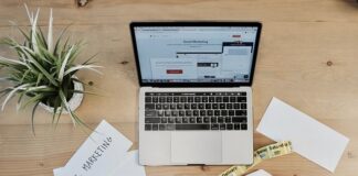 Co po studiach digital marketing?