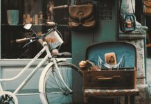 Jak założyć sklep internetowy koszty? Jak założyć sklep internetowy koszty?