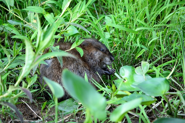 Co jest rezultatem nauczania? Co jest rezultatem nauczania?