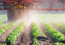 Trwałe użytki zielone — łąki Trwałe użytki zielone — łąki